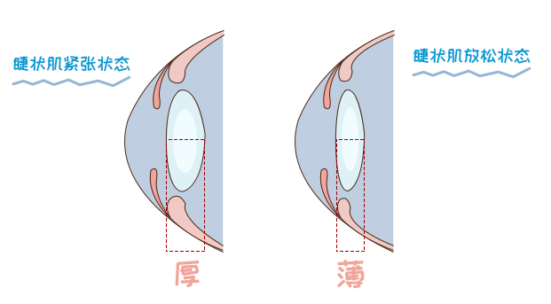 假性近視和真性近視都要配眼鏡嗎,配鏡驗(yàn)光去哪里比較好 假性近視和真性近視都要配眼鏡嗎,配鏡驗(yàn)光去哪里比較好