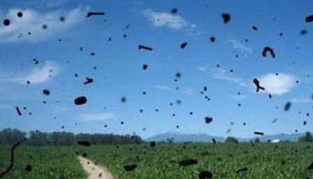 視網膜脫落,珠海視網膜脫落怎么辦,視網膜脫落治療醫(yī)院 視網膜脫落,珠海視網膜脫落怎么辦,視網膜脫落治療醫(yī)院